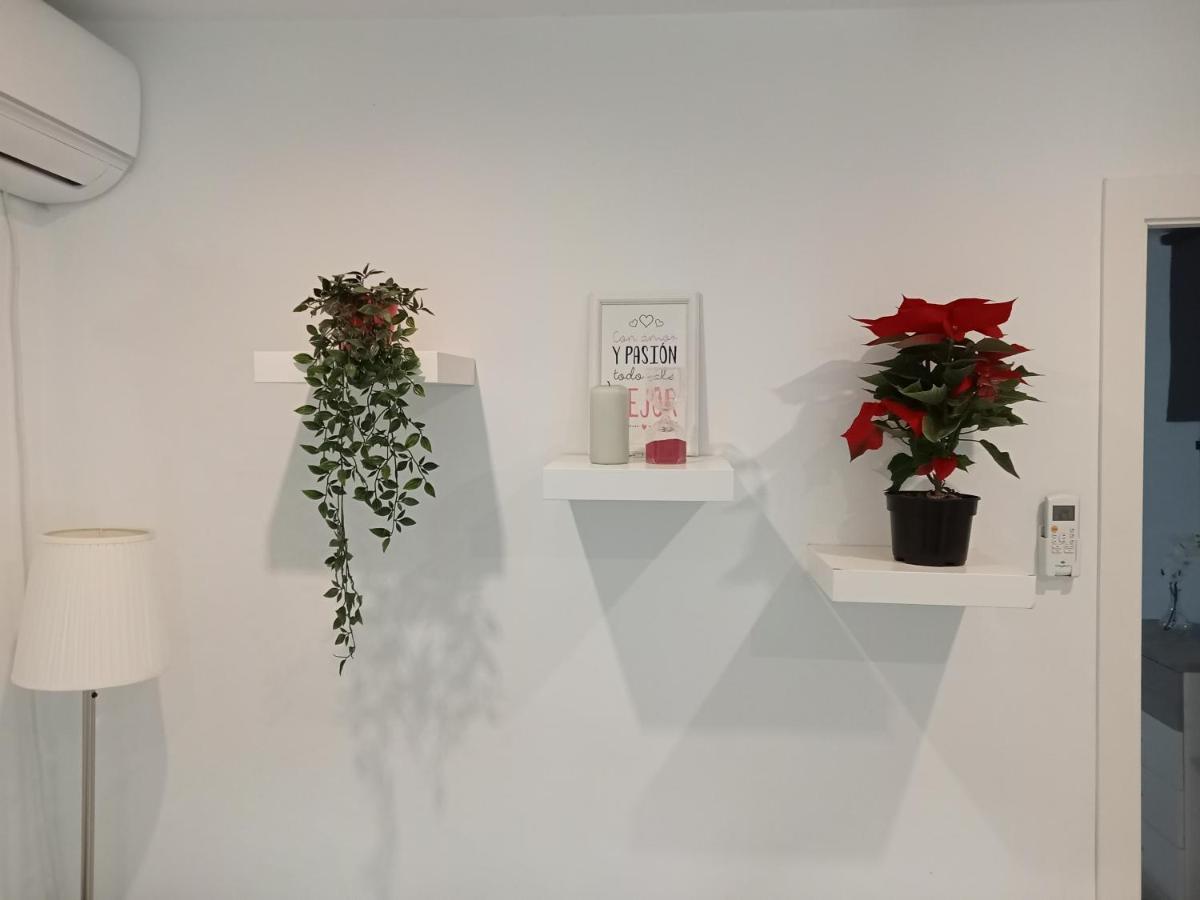Apartamento Ponce 赫雷斯 外观 照片